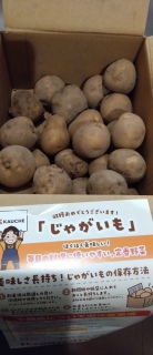 �J�E�V�F���痈��